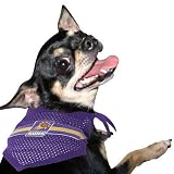 Phoenix Suns Purple Mesh Small Pet Bandana (Small/Medium)