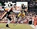 Santonio Holmes Autographed Pittsburgh Steelers 8x10 Photo ~ Super Bowl 43 MVP