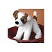 Plush Sporty Jack Russell 9