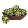 5" Artichoke (Set of 6)
