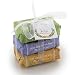 Mistral 3 Soap Gift Pack - Classic (Kumquat Pink Grapefruit, South Seas, Wild Blackberry)