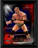 OFFICIAL WWE Batista Framed Action Print DESKTOP