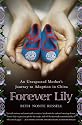 Forever Lily: An Unexpected Mother's Journey to Adoption in China