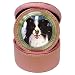 Border Collie Jewelry Case Travel Clock