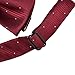 Hello Tie Solid Silver Dot Gold Edge Luxurious Pre-tied Bow Ties Black