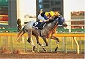 300ピース クロフネ'01ジャパンカップダート 300-227