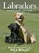 Labradors: Work, Rest and Play