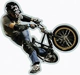 BMX 2 Panel Wall Mural