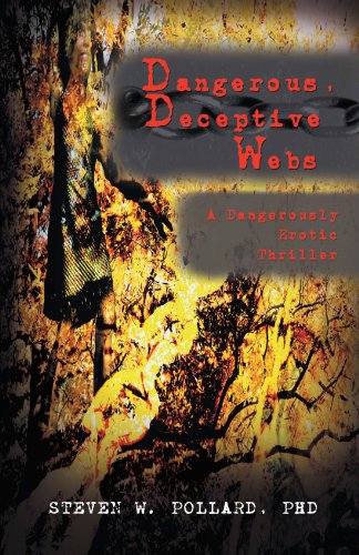 Dangerous, Deceptive Webs: A Dangerously Erotic Thriller