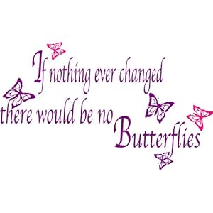 If Nothing Ever Changed Wall