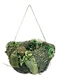 4.5" Princess Garden Whimsical Green Bird Nest Christmas Ornament