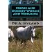 Horse and Donkey Nutrition