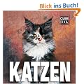Katzen
