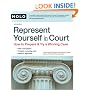 Represent Yourself in Court: How to Prepare & Try a Winning Case