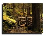 Produkt-Bild: HDR Br&uuml;cke im M&auml;rchenwald auf Leinwand, auf Leinwand, fertig gerahmt mit Keilrahmen, Kunstdruck, 100 x 70cm