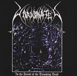 In The Forest Of The Dreaming