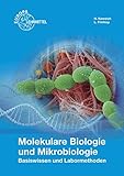 Image de Molekulare Biologie und Mikrobiologie: Basiswissen und Labormethoden