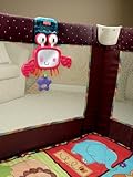 Fisher-Price Discover & Grow Peek-a-boo Playard Crab