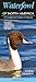 Waterfowl of North America: A Comprehensive Guide to All Species
