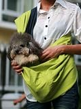 GSI Quality Comfort Soft-Sided Pet Carrier - Backpack And Car Booster Seat Functions - Cotton + Jeans Cloth Materials - Large