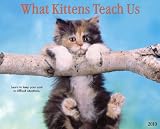 What Kittens Teach Us 2010 Calendar