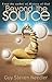 Beyond the Source - Book 1: Messages from the Co-Creaters of the Universe