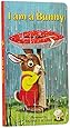 I Am a Bunny (A Golden Sturdy Book)