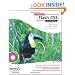 Foundation Flash CS3 for Designers