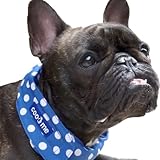 ���i�̏ڍ�