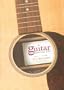 Guitar: An American Life