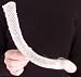 Huge Venus Flower Basket Euplectella Aspergillum Shell