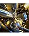 Photographic Print Of Scanning Electron Microscope From Scie
