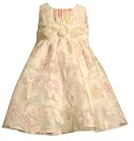 Bonnie Baby Baby-Girls Infant Organza Dress With Floral Burnout, Ivory, 12 Months
