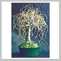 Wire Bonsai Tree Sculpture - Multi Colored Oak