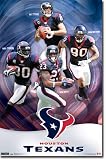 Houston Texans Collage Poster 5431