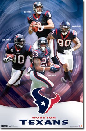 Houston Texans Collage Poster 5431