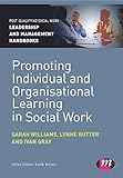 Promoting individual and organisational learning in social work