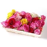 ベルローゼス バラ風呂ギフト（50輪以上）【お風呂に浮かべる生花のバラの花首の詰め合わせ・誕生日・御祝・記念日・ご自宅用・産直ローズのギフトセット】 誕生日