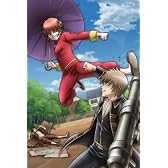 銀魂 シーズン其ノ四 10 [DVD]