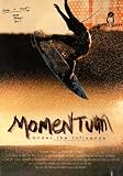 Momentum: Under the Influence