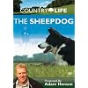 Country Life: the Sheepdog [DVD]