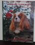 The Cavalier King Charles Spaniel in North America