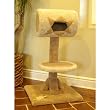 Majestic MAJ40TP 40 Inch Kitty Cat Tunnel Perch