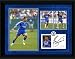 Joe Cole 16x12 Framed Player Profile, Chelsea FC.