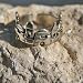 Oh Jerusalem Silver Ring. Jerusalem Panorama or Walls Ring hand made by top Silversmith in Jerusalem