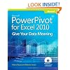 Microsoft&reg; PowerPivot for Excel&reg; 2010: Give Your Data Meaning