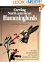 Carving North American Hummingbirds & Their Habitat: Capturing Their Beauty in Wood