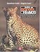 Diario de grandes felinos : leopardos (Ciencia Y Tecnologia) (Spanish Edition)