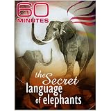 60 Minutes - The Secret Language of Elephants (January 3, 2010)