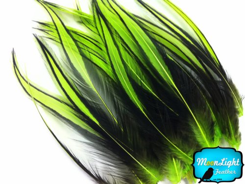 Rooster Feathers; LIME GREEN Laced Rooster Cape Feathers - 4 to 7 Inches long - 10 Pieces
